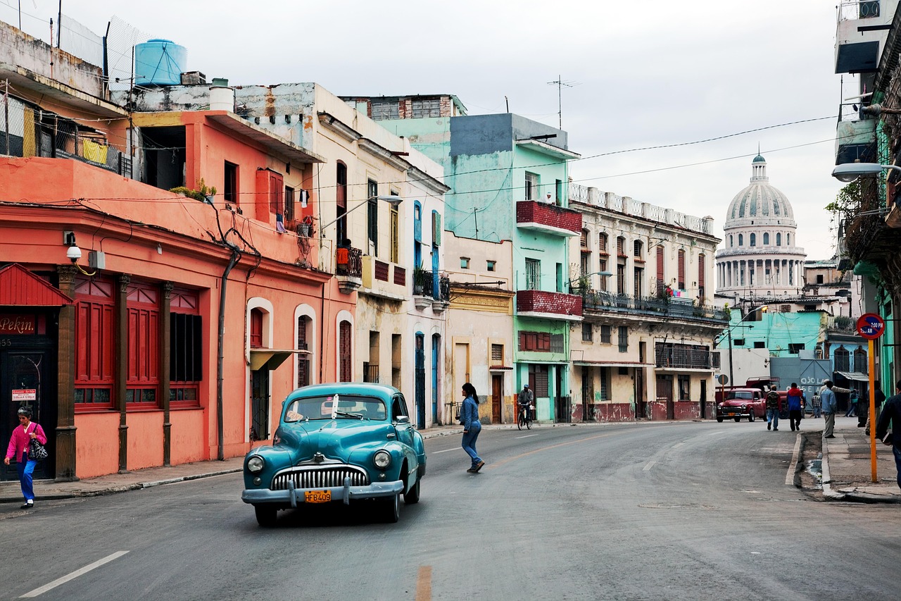 The Unique Features of the Havana Brown Cat